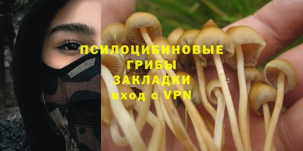 ALPHA PVP Беломорск