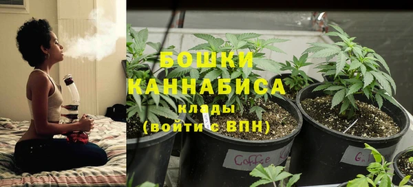 прущие крисы Белокуриха