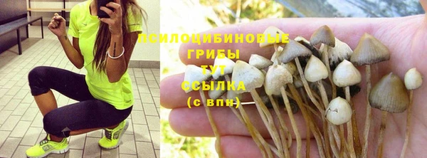 ALPHA PVP Беломорск