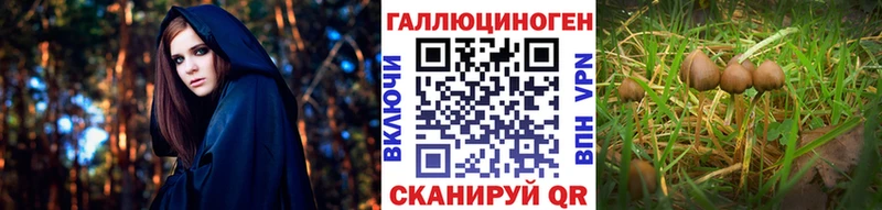 Галлюциногенные грибы прущие грибы  Верхняя Салда 