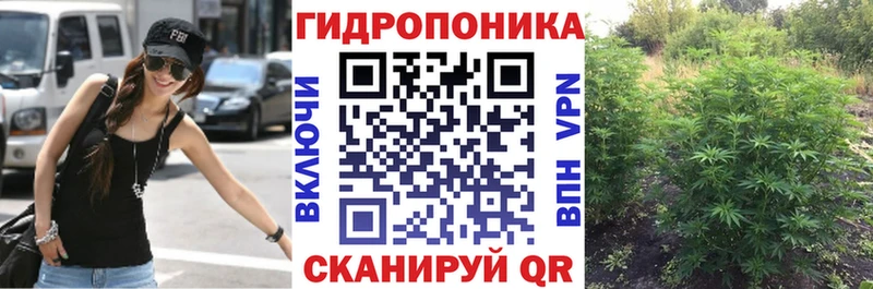 купить  сайты  Верхняя Салда  Канабис White Widow 